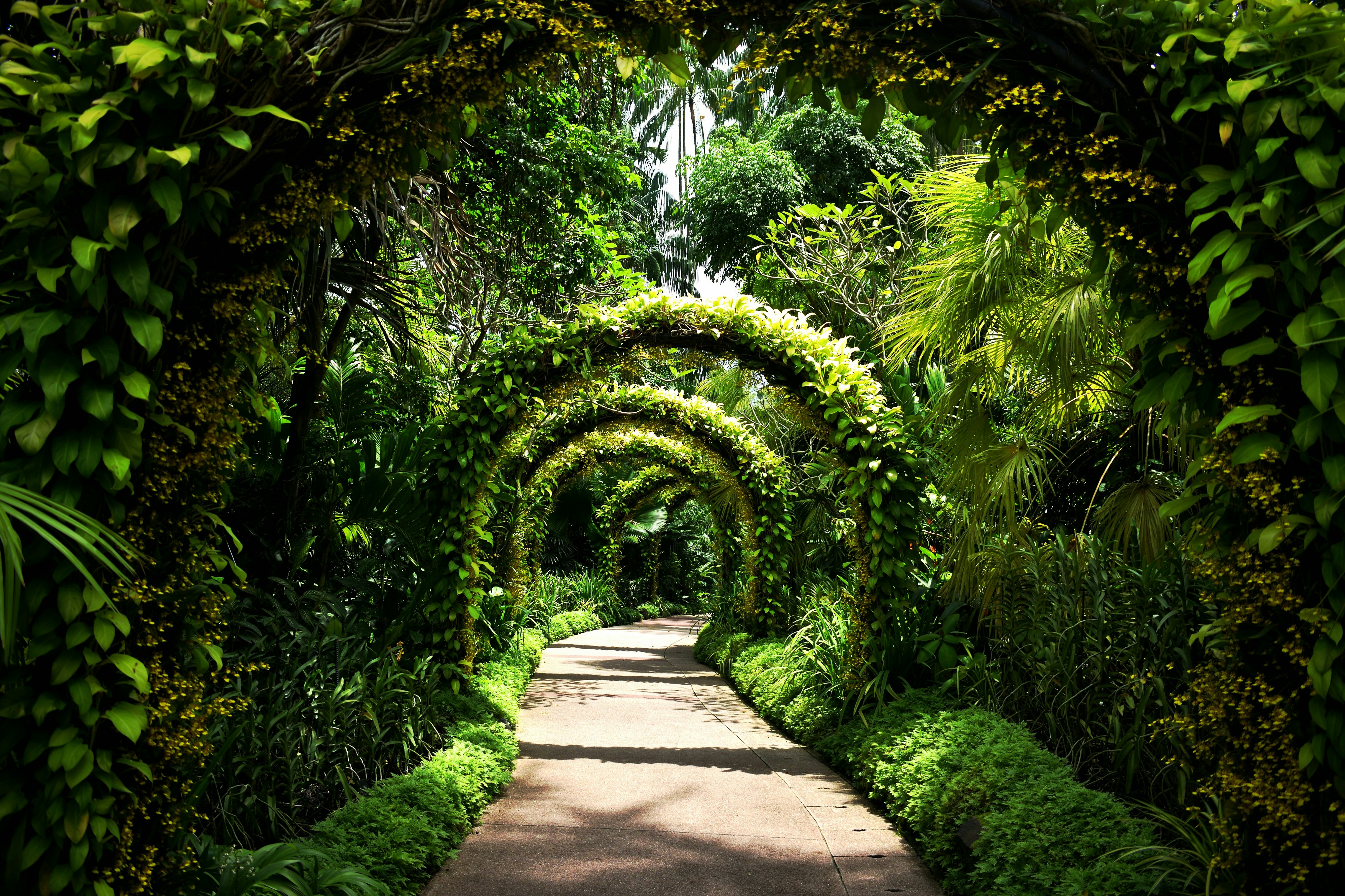 Singapore Botanic Gardens